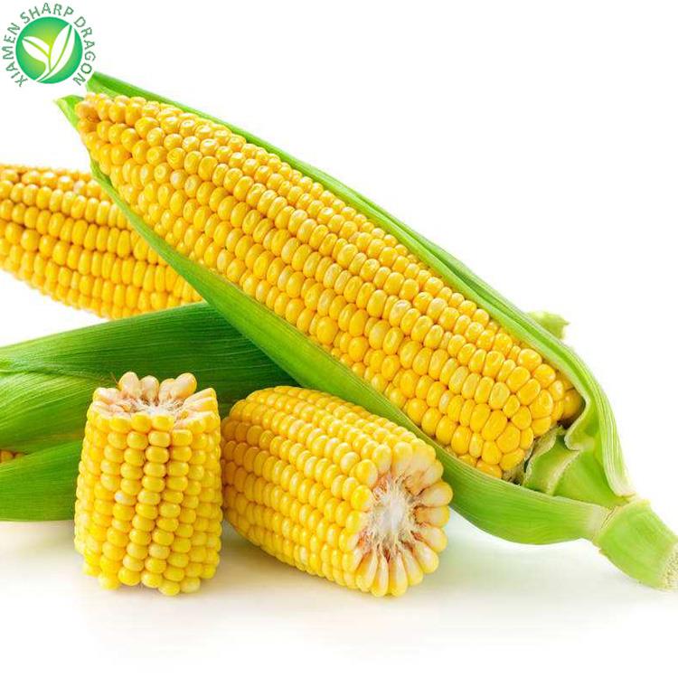 ซังข้าวโพดแช่แข็ง Frozen corn cob