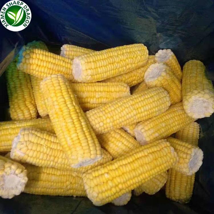 bulk frozen sweet corn kernels for wholesale