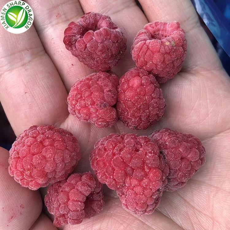 bulk frozen raspberries supplied by XMSDfood bulk frozen raspberries supplied by XMSDfood