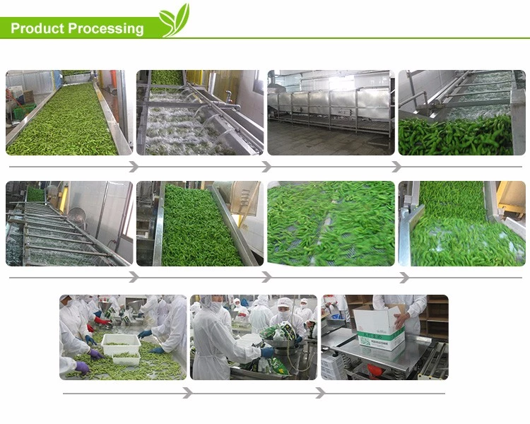 product-1-1 China iqf frozen black fungus edible fungus