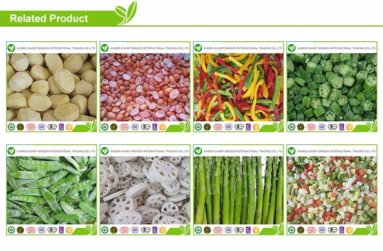 Importers production line wholesale frozen baby corn cob of price