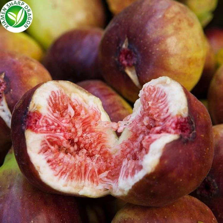 high quality figs 