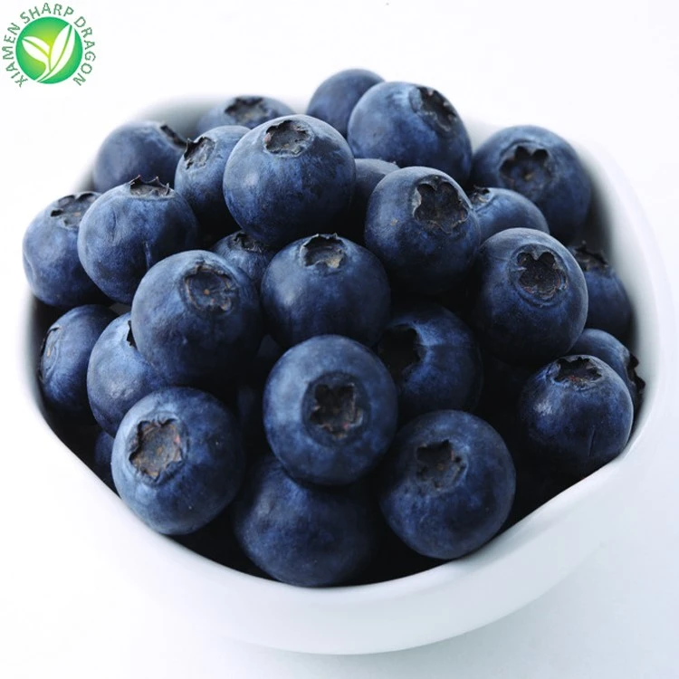 iqf blueberry market iqf blueberry market