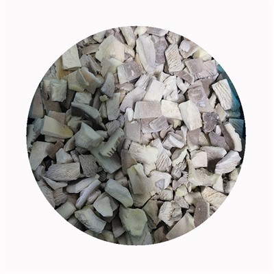 ก้อนเห็ดนางรมแช่แข็ง