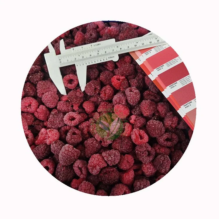 Bulk IQF frozen raspberries supplier in China - XMSD Bulk IQF frozen raspberries supplier in China - XMSD