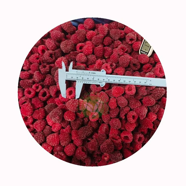 Whole frozen raspberries manufacturer for wholesale Whole frozen raspberries manufacturer for wholesale