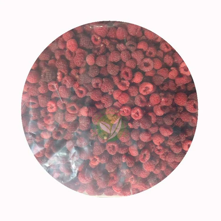 XMSD frozen berry wholesale exporter XMSD frozen berry wholesale exporter