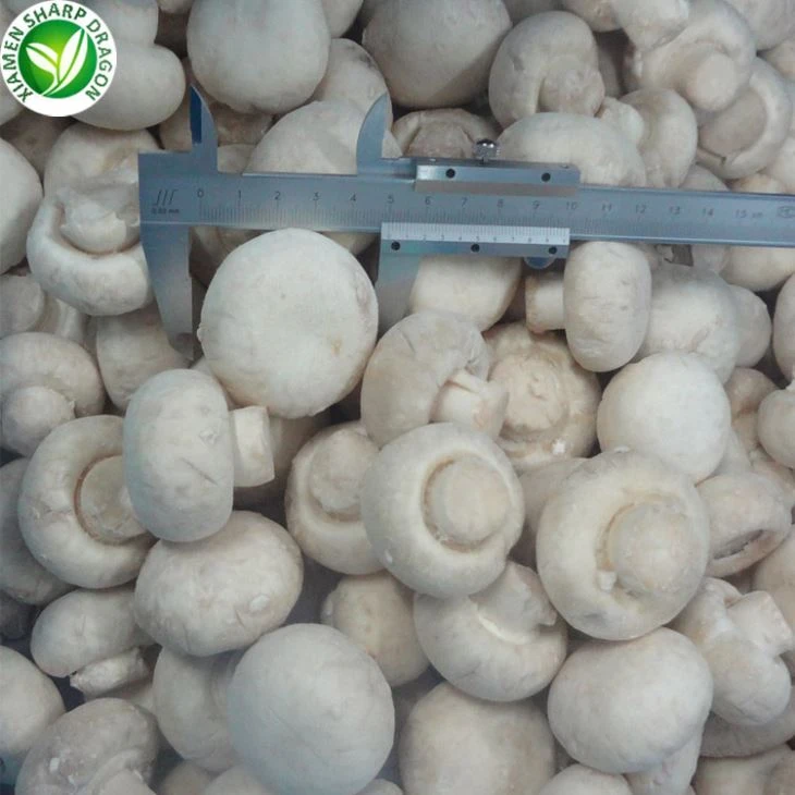 เห็ดแชมปิญองขาว