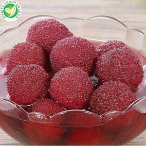 ผลไม้ Waxberry กระป๋อง