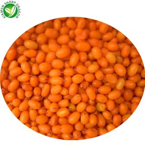 Sea Buckthorn Berry