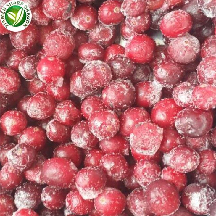 Bulk IQF Frozen Lingonberry Good Quality