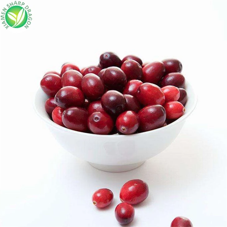 Bulk IQF Frozen Lingonberry Good Quality
