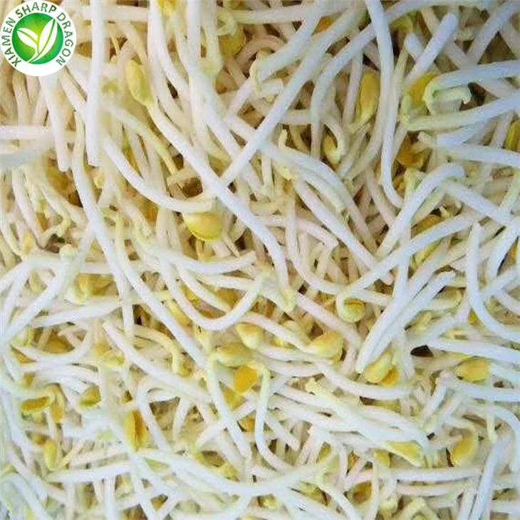 Green Bean Sprouts Yellow