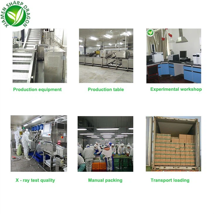 IQF Frozen Long Green Bean